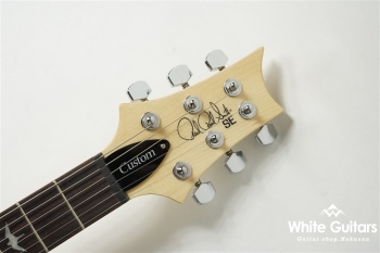 SE Custom 24 - Faded Blue Burst